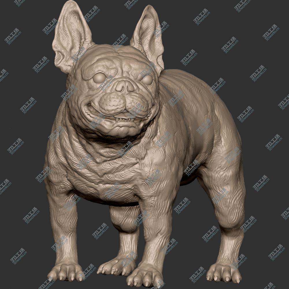 images/goods_img/20200601/231 狼 狗 犬 斗牛犬 恶霸犬 STL 手办 3D扫描 3D打印 雕像 高模 雕塑 zbrush/5.jpg